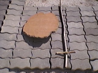 SP_A0110.jpg